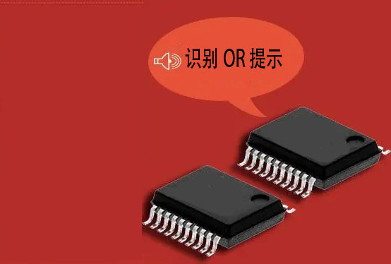 語音識別芯片or語音提示芯片哪款更貼近生活？